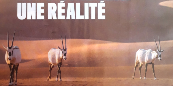 Annonce print Aramco