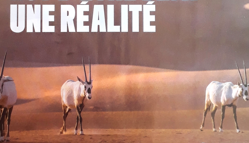 Annonce print Aramco